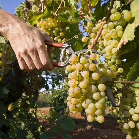 Konukevi In With Terrace, Air Conditioning, Wifi 3488-8